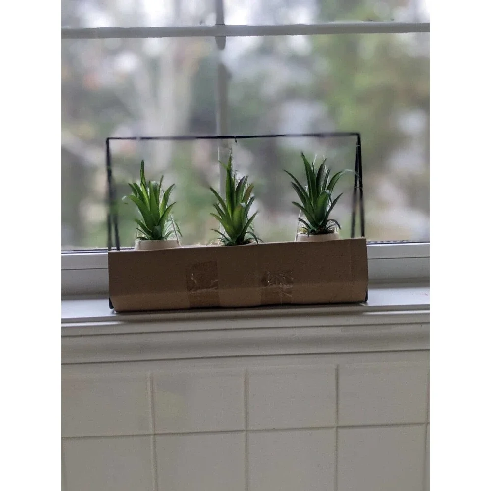 Set 3 pcs Hanging Cactus Cacti in Planters Indoor Rope Hanger Flower Pot Basket